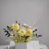 GFD經典方型(小）：圖片 4